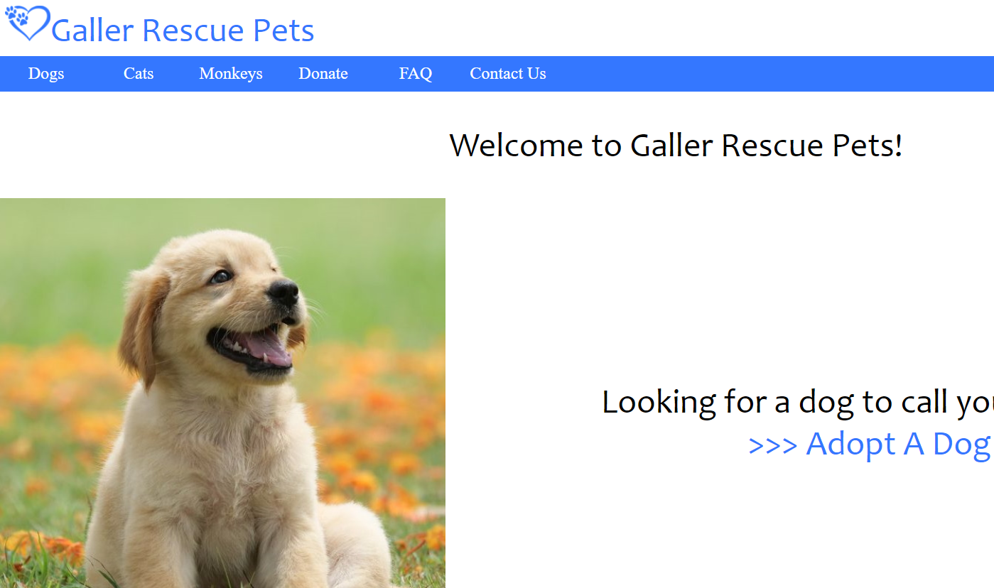 Image of a mock-up rescue pets website I made for my web design course